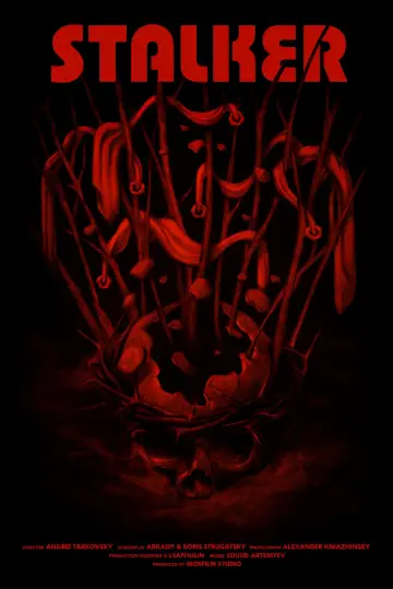 Poster to the movie "Stalker" #734169
