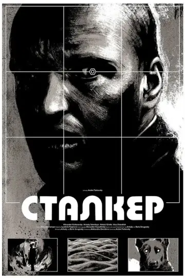 Poster to the movie "Stalker" #847163