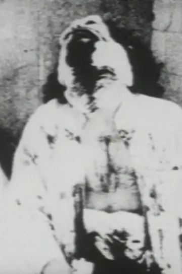 Poster to the movie "Begotten" #658979