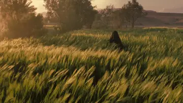 Backdrop to the movie "Kingdom of Heaven" #832015