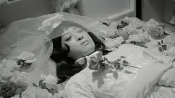 Backdrop to the movie "Funeral Parade of Roses" #872063