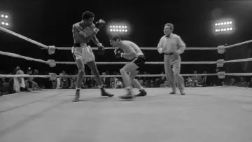 Backdrop to the movie "Raging Bull" #181388