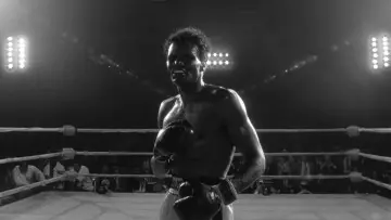Backdrop to the movie "Raging Bull" #656095