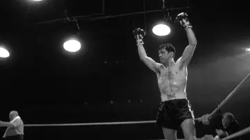 Backdrop to the movie "Raging Bull" #656099