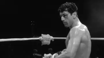 Backdrop to the movie "Raging Bull" #656109