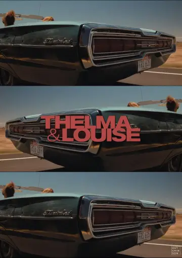 Poster to the movie "Thelma & Louise" #838898