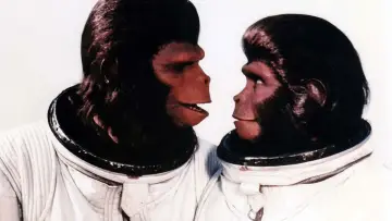 Backdrop to the movie "Escape from the Planet of the Apes" #332479