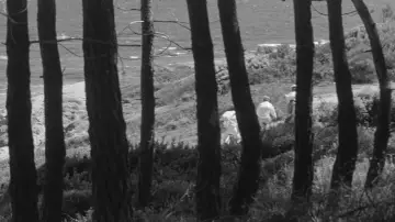 Backdrop to the movie "Jules and Jim" #985795