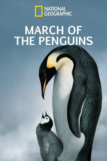 Poster to the movie "March of the Penguins" #1019483