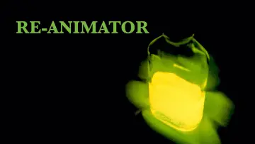 Backdrop to the movie "Re-Animator" #875509