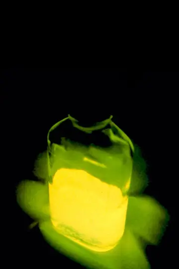 Poster to the movie "Re-Animator" #875603