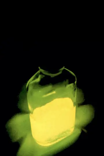 Poster to the movie "Re-Animator" #875608