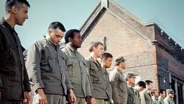 Backdrop to the movie "The Dirty Dozen" #206049
