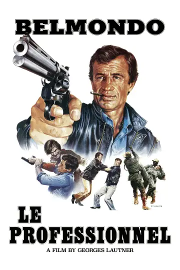 Poster to the movie "The Professional" #852108