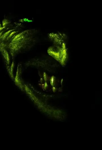 Poster to the movie "The Incredible Hulk" #1155615