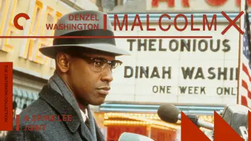 Backdrop to the movie "Malcolm X" #807075
