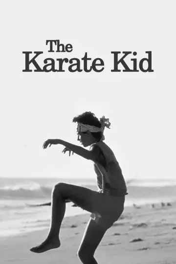 Poster to the movie "The Karate Kid" #60694