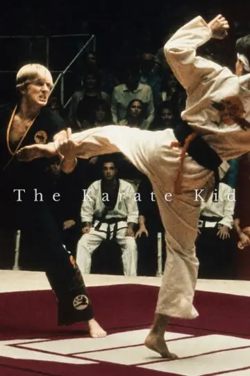 Poster to the movie "The Karate Kid" #838172