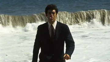 Backdrop to the movie "The Long Goodbye" #214846