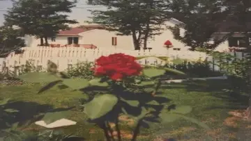 Backdrop to the movie "Velvet Goldmine" #1539762