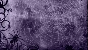 Backdrop to the movie "The Amazing Spider-Man" #959339