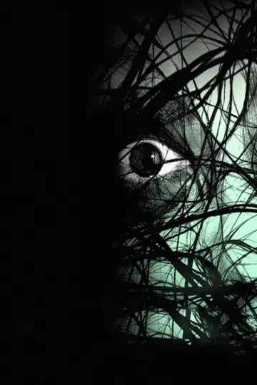 Poster to the movie "The Grudge 2" #889064