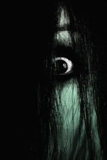 Poster to the movie "The Grudge" #853142