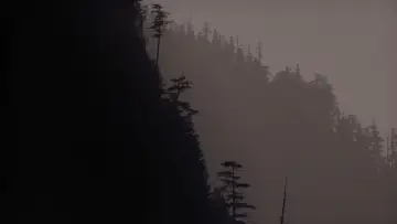 Backdrop to the movie "Twin Peaks: Fire Walk with Me" #643227