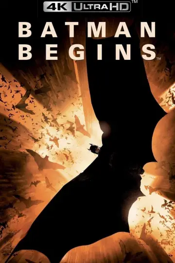Poster to the movie "Batman Begins" #23912