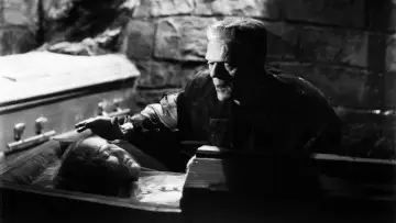 Backdrop to the movie "The Bride of Frankenstein" #897203