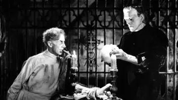 Backdrop to the movie "The Bride of Frankenstein" #897207