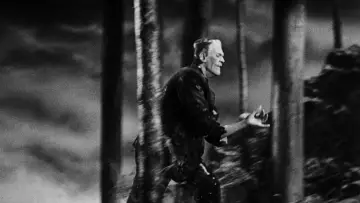 Backdrop to the movie "The Bride of Frankenstein" #897216