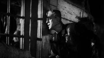 Backdrop to the movie "The Bride of Frankenstein" #897217