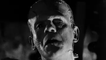 Backdrop to the movie "The Bride of Frankenstein" #897229