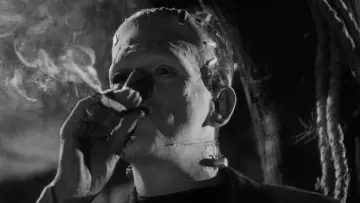 Backdrop to the movie "The Bride of Frankenstein" #897240