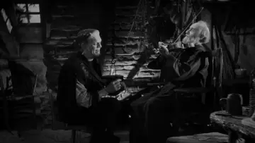 Backdrop to the movie "The Bride of Frankenstein" #897242