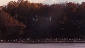 Backdrop to the movie "Dead Poets Society" #573886