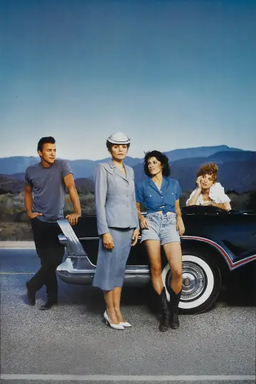 Poster to the movie "Desert Hearts" #1168997