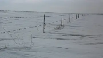 Backdrop to the movie "Fargo" #1198607