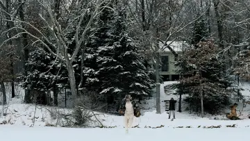 Backdrop to the movie "Fargo" #620693