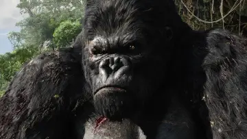 Backdrop to the movie "King Kong" #256306