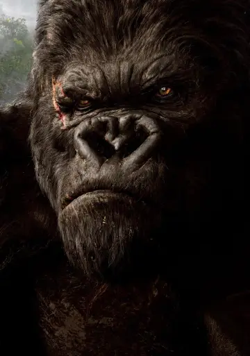 Poster to the movie "King Kong" #256323