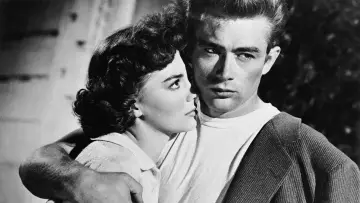 Backdrop to the movie "Rebel Without a Cause" #209257