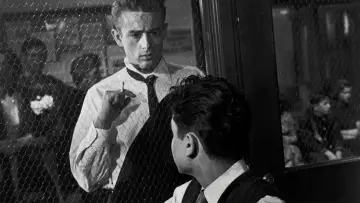 Backdrop to the movie "Rebel Without a Cause" #866274