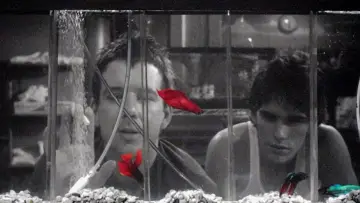 Backdrop to the movie "Rumble Fish" #720939