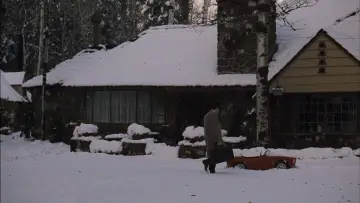 Backdrop to the movie "The Godfather Part II" #749051