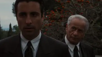 Backdrop to the movie "The Godfather Part III" #577430