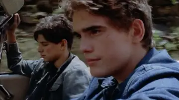 Backdrop to the movie "The Outsiders" #648868