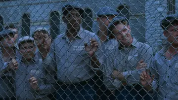 Backdrop to the movie "The Shawshank Redemption" #517322