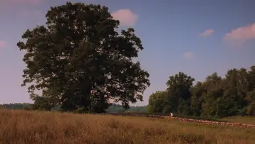 Backdrop to the movie "The Shawshank Redemption" #827274